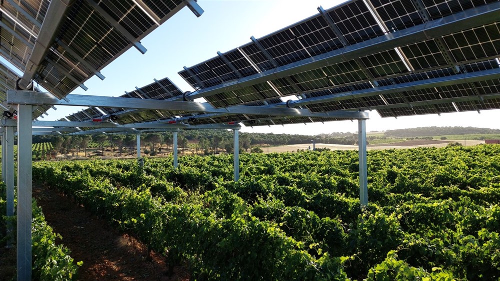 El proyecto AGROVITIVOLTAICA publica un artículo técnico para la revista ENERGETICA