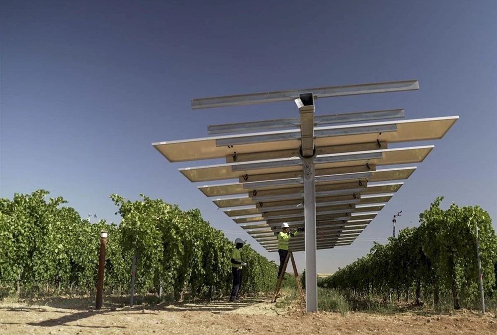 Powerfultree, seleccionada junto a catorce startups para la primera edición de Araba Venture