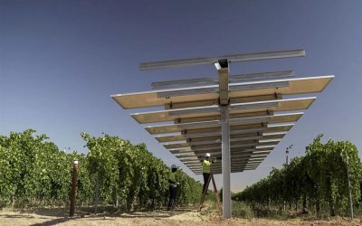 Powerfultree, seleccionada junto a catorce startups para la primera edición de Araba Venture