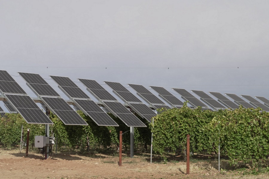 250919 wine solar iberdrola 900x600 2
