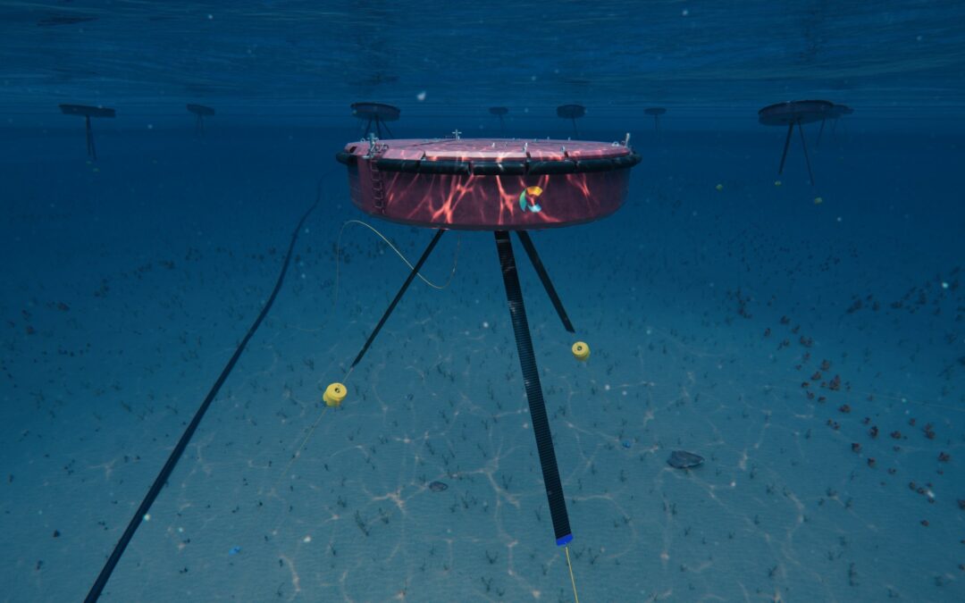 El dispositivo CETO de Carnegie Technologies se probará y validará en el proyecto COIN, en el que participa Mondragon, financiado a través de Horizon Europe