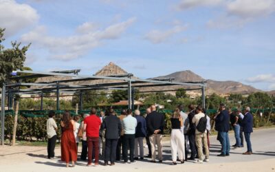 Hidrógeno y combustibles renovables 3 Powerfultree y BASQUENERGY Cluster presentan los avances del proyecto AGROVITIVOLTAICA en una jornada sobre innovación vitivinícola celebrada en Bodega Casa Sicilia