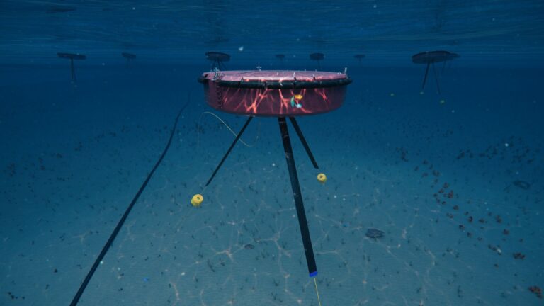 Carnegie Clean Energy recibe un pago de 350.000 € de EuropeWave tras revisar la integración del sistema CETO en el programa ACHIEVE