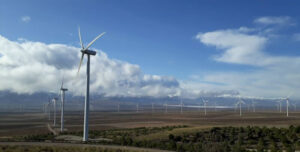 windfarm