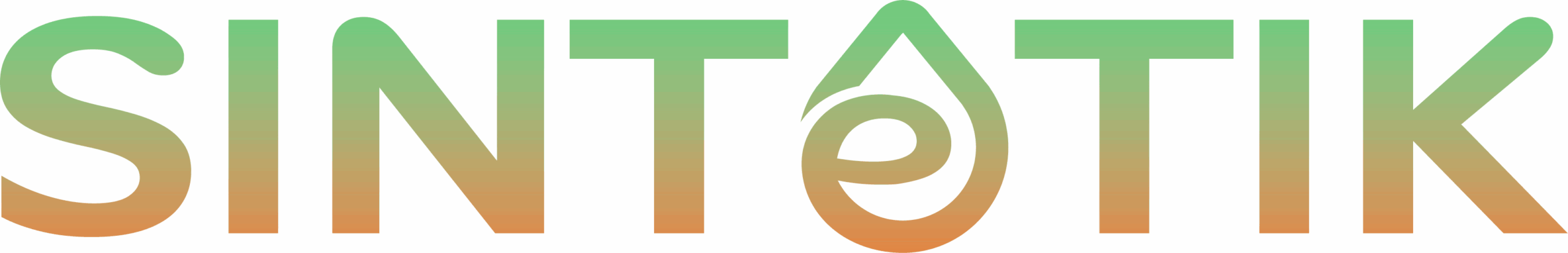 01 SintetikLogo Color 1 scaled