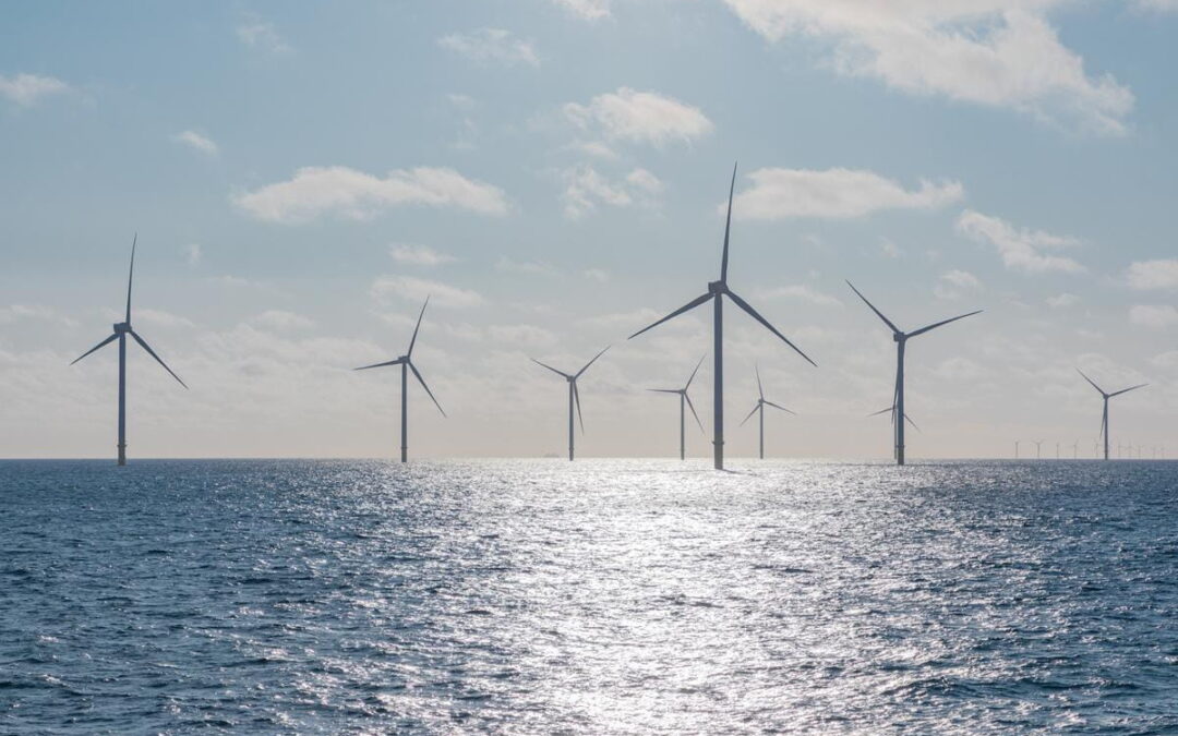 Siemens Gamesa suministra turbinas para el parque eólico marino Borkum Riffgrund 3 de 913 MW, que ya está conectado a la red eléctrica