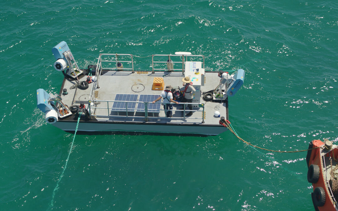 Carnegie es seleccionada por el Programa TEAMER para dar asistencia técnica en la integración de su tecnología de energía undimotriz en jaulas de acuicultura marinas