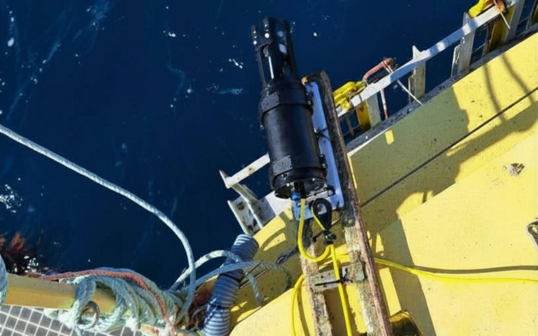 Vicinay Marine y Tecnalia desarrollan un sensor pionero para monitorizar la corrosión en líneas de fondeo
