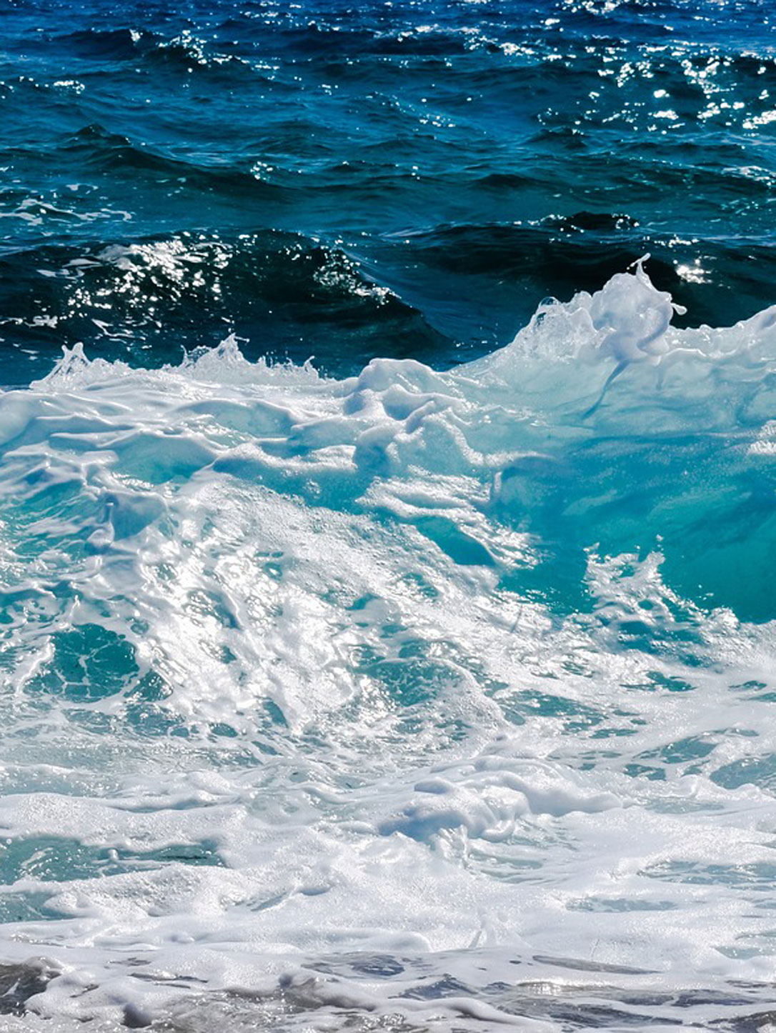 Tecnalia, la Universidad de Edimburgo, Wave Energy Scotland y WavEC lanzan la iniciativa OceanBoost para impulsar la energía marina en Europa