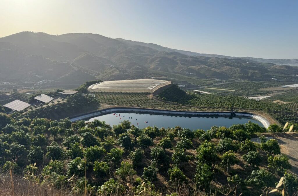 PowerfulTree aporta la ingeniería, el diseño y el hardware en el proyecto TECSOL-FRUT con el objetivo de validar diferentes configuraciones agrivoltaicas